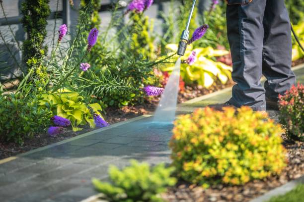 Best Parking Lot and Garage Cleaning  in Paterson, NJ