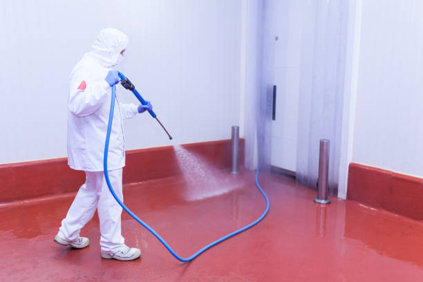 Best Soft Washing  in Paterson, NJ