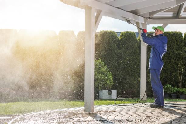 Best Gutter Cleaning  in Paterson, NJ